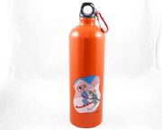 金屬運(yùn)動(dòng)水壺