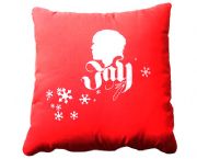 紅紅火火抱枕被