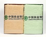 中國(guó)農(nóng)業(yè)銀行二件套