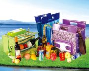 手提式車載冰箱