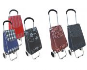 時(shí)尚購(gòu)物車(chē)