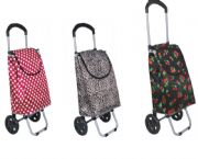 時(shí)尚購(gòu)物車(chē)