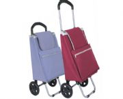 時(shí)尚購(gòu)物車(chē)