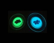 小號(hào)太陽(yáng)果盤